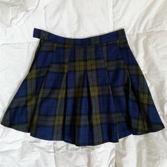 pleated skirt